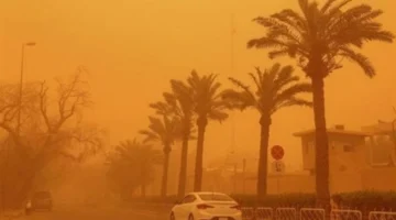 تحذيرات هيئة الأرصاد الجوية للمواطنين بشأن تقلبات الطقس والبرق والرعد المنتظرة